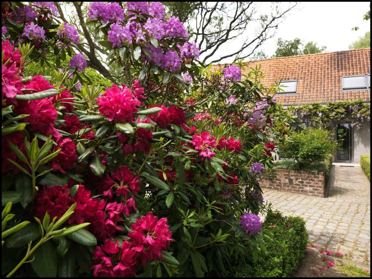 Bed and Breakfast Rooseboom22 Aartrijke Екстер'єр фото